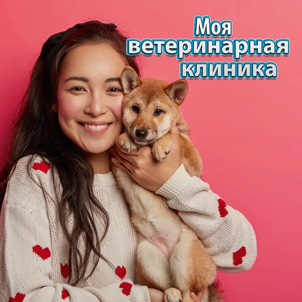 Моя ветеринарная клиника