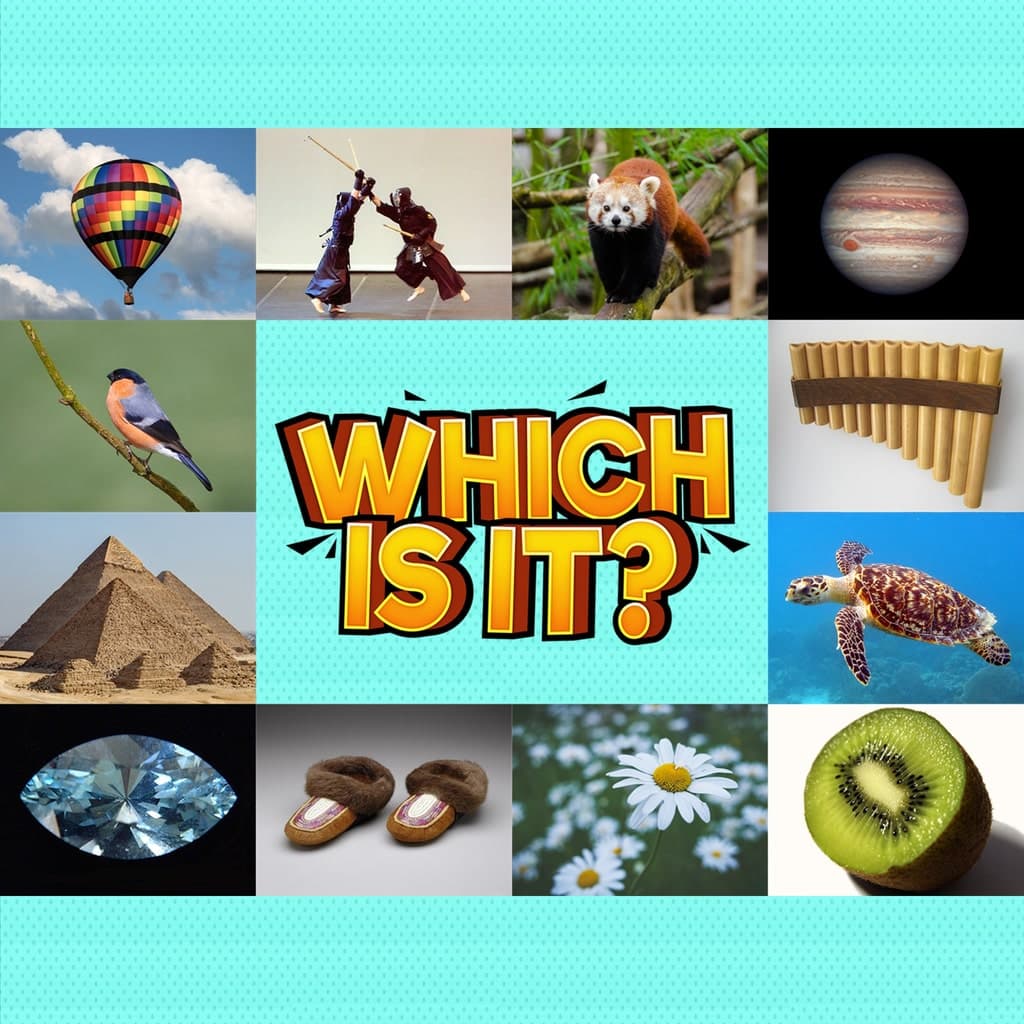 Which Is It?